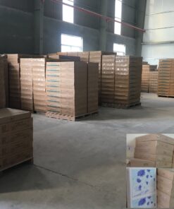 Kho hàng tấm trần nhựa thả hoa văn 3d, la phông nhựa 600x600